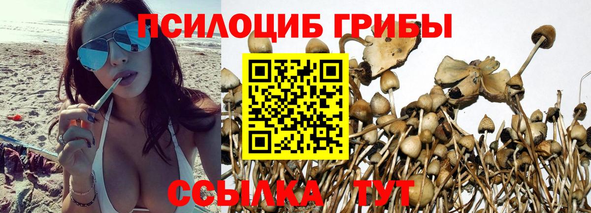Галлюциногенные грибы прущие грибы Усинск